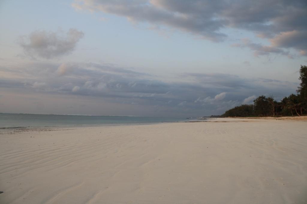 Diani Marine Divers Village 디아니 해변 외부 사진